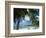 Palms on Shore, Cayman Kai Near Rum Point, Grand Cayman, Cayman Islands, West Indies-Ruth Tomlinson-Framed Photographic Print