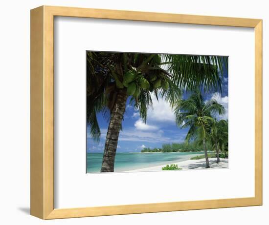 Palms on Shore, Cayman Kai Near Rum Point, Grand Cayman, Cayman Islands, West Indies-Ruth Tomlinson-Framed Photographic Print