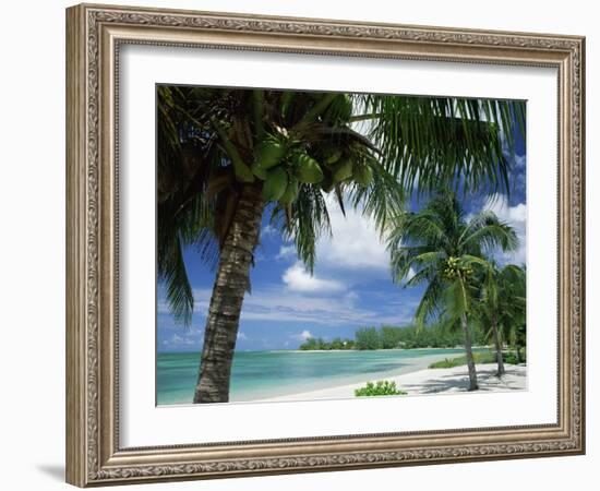 Palms on Shore, Cayman Kai Near Rum Point, Grand Cayman, Cayman Islands, West Indies-Ruth Tomlinson-Framed Photographic Print