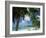 Palms on Shore, Cayman Kai Near Rum Point, Grand Cayman, Cayman Islands, West Indies-Ruth Tomlinson-Framed Photographic Print