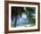 Palms on Shore, Cayman Kai Near Rum Point, Grand Cayman, Cayman Islands, West Indies-Ruth Tomlinson-Framed Photographic Print