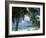 Palms on Shore, Cayman Kai Near Rum Point, Grand Cayman, Cayman Islands, West Indies-Ruth Tomlinson-Framed Photographic Print