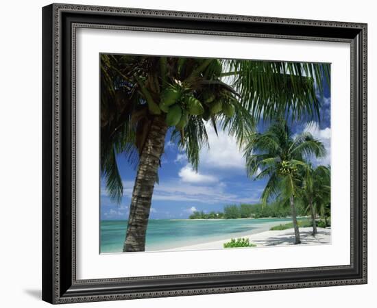 Palms on Shore, Cayman Kai Near Rum Point, Grand Cayman, Cayman Islands, West Indies-Ruth Tomlinson-Framed Photographic Print