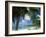 Palms on Shore, Cayman Kai Near Rum Point, Grand Cayman, Cayman Islands, West Indies-Ruth Tomlinson-Framed Photographic Print