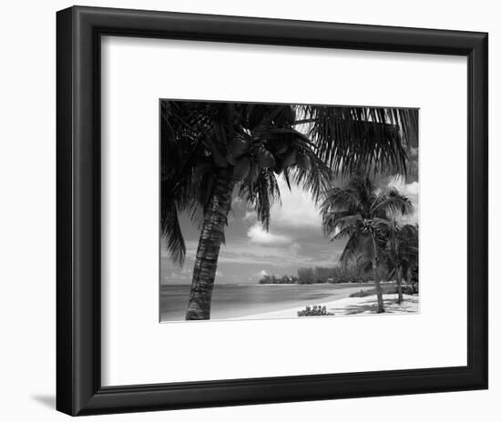 Palms on Shore, Cayman Kai Near Rum Point, Grand Cayman, Cayman Islands, West Indies-Ruth Tomlinson-Framed Photographic Print