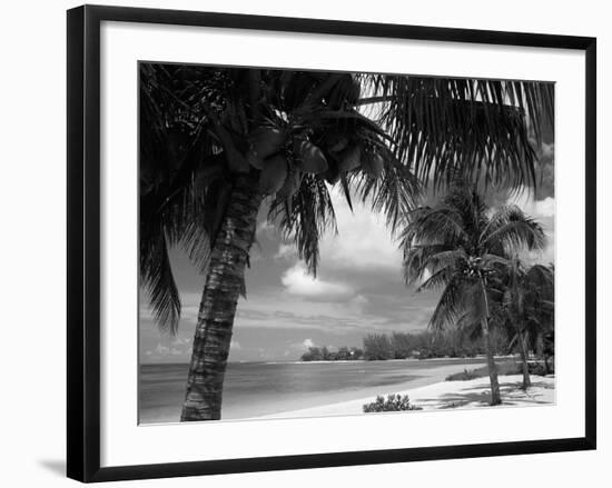 Palms on Shore, Cayman Kai Near Rum Point, Grand Cayman, Cayman Islands, West Indies-Ruth Tomlinson-Framed Photographic Print