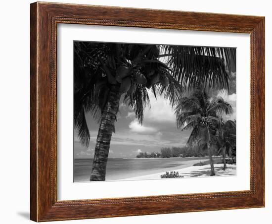 Palms on Shore, Cayman Kai Near Rum Point, Grand Cayman, Cayman Islands, West Indies-Ruth Tomlinson-Framed Photographic Print