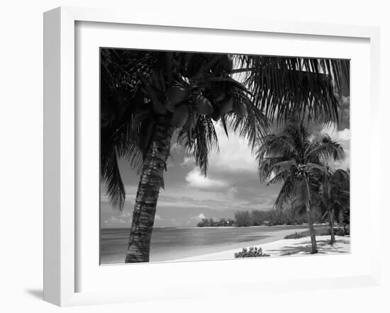 Palms on Shore, Cayman Kai Near Rum Point, Grand Cayman, Cayman Islands, West Indies-Ruth Tomlinson-Framed Photographic Print