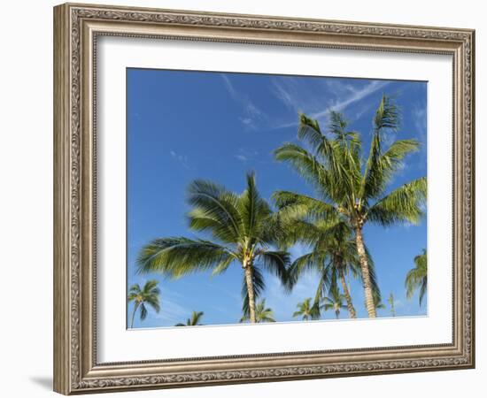 Palms on Waikoloa Beach, Anaeho'omalu bay, Kona, Hawaii-Maresa Pryor-Framed Photographic Print
