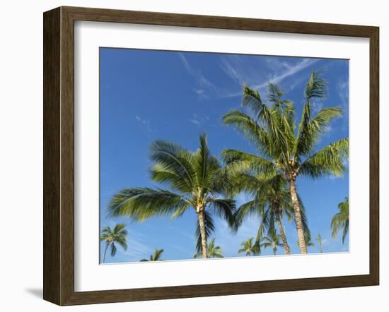 Palms on Waikoloa Beach, Anaeho'omalu bay, Kona, Hawaii-Maresa Pryor-Framed Photographic Print