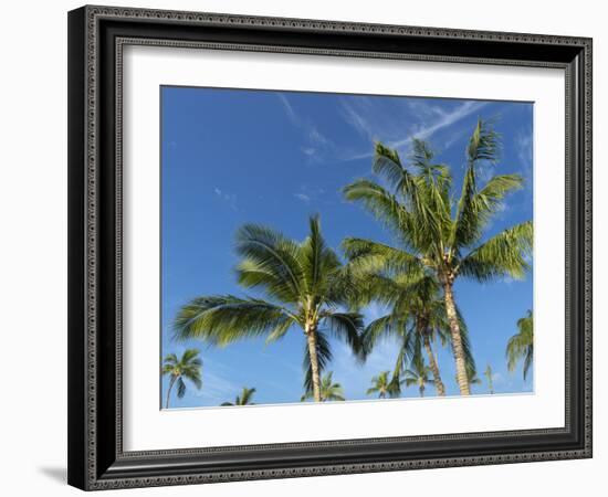 Palms on Waikoloa Beach, Anaeho'omalu bay, Kona, Hawaii-Maresa Pryor-Framed Photographic Print