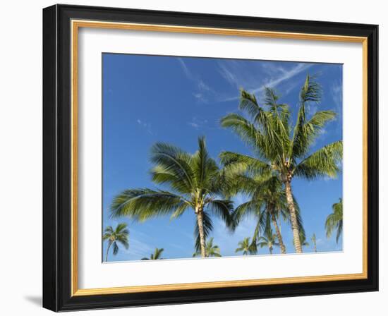 Palms on Waikoloa Beach, Anaeho'omalu bay, Kona, Hawaii-Maresa Pryor-Framed Photographic Print