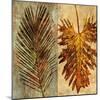 Palms Pairs II-John Seba-Mounted Art Print