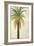 Palms &Scrolls II-Patricia Pinto-Framed Premium Giclee Print