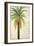 Palms &Scrolls II-Patricia Pinto-Framed Premium Giclee Print