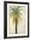 Palms &Scrolls II-Patricia Pinto-Framed Premium Giclee Print