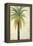 Palms &Scrolls II-Patricia Pinto-Framed Stretched Canvas