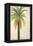 Palms &Scrolls II-Patricia Pinto-Framed Stretched Canvas