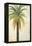 Palms &Scrolls II-Patricia Pinto-Framed Stretched Canvas