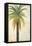 Palms &Scrolls II-Patricia Pinto-Framed Stretched Canvas