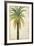 Palms &Scrolls II-Patricia Pinto-Framed Art Print