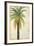 Palms &Scrolls II-Patricia Pinto-Framed Art Print