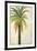 Palms &Scrolls II-Patricia Pinto-Framed Art Print