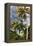 Palms Sky Vertical-Robert Goldwitz-Framed Premier Image Canvas