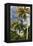 Palms Sky Vertical-Robert Goldwitz-Framed Premier Image Canvas