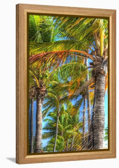 Palms Vertical-Robert Goldwitz-Framed Premier Image Canvas