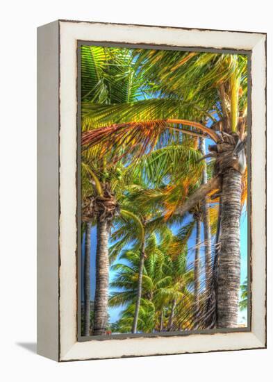 Palms Vertical-Robert Goldwitz-Framed Premier Image Canvas