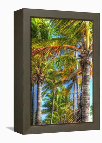 Palms Vertical-Robert Goldwitz-Framed Premier Image Canvas