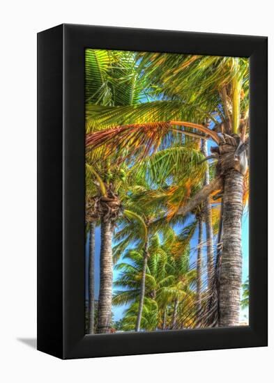 Palms Vertical-Robert Goldwitz-Framed Premier Image Canvas