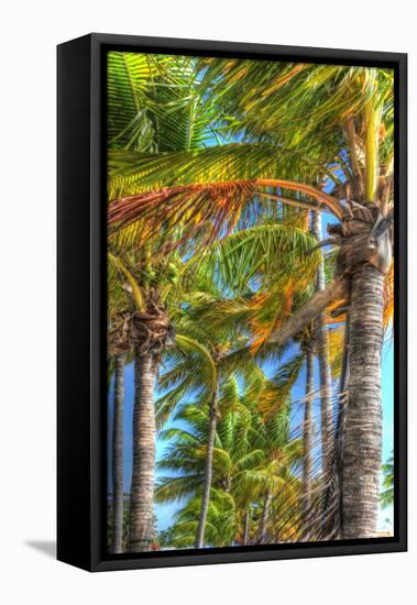 Palms Vertical-Robert Goldwitz-Framed Premier Image Canvas