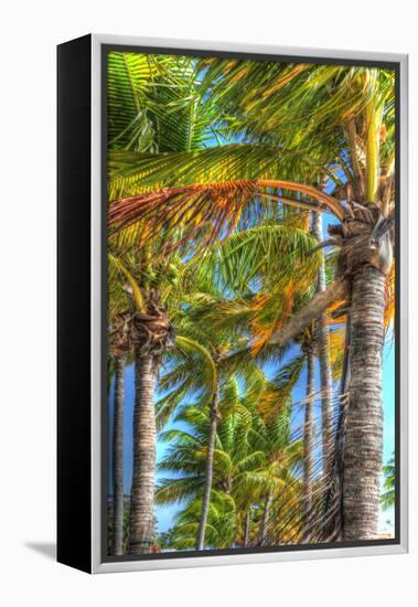 Palms Vertical-Robert Goldwitz-Framed Premier Image Canvas