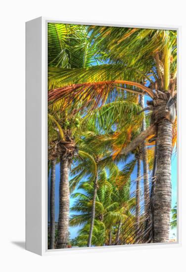 Palms Vertical-Robert Goldwitz-Framed Premier Image Canvas