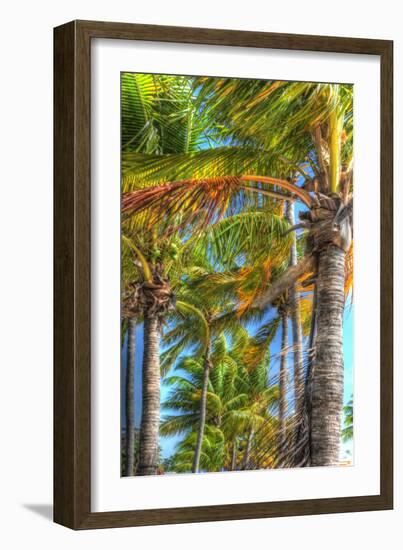 Palms Vertical-Robert Goldwitz-Framed Photographic Print