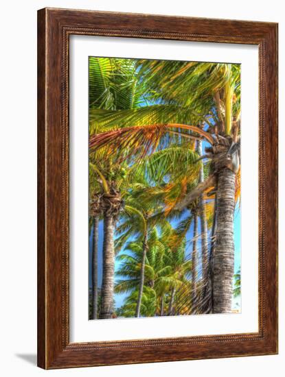 Palms Vertical-Robert Goldwitz-Framed Photographic Print