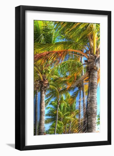 Palms Vertical-Robert Goldwitz-Framed Photographic Print