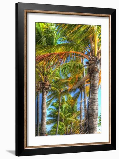 Palms Vertical-Robert Goldwitz-Framed Photographic Print