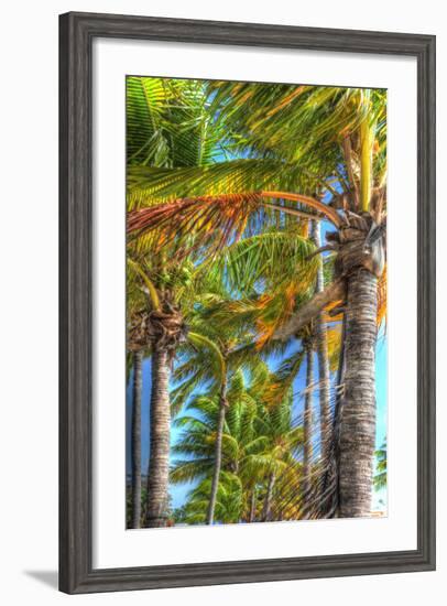 Palms Vertical-Robert Goldwitz-Framed Photographic Print