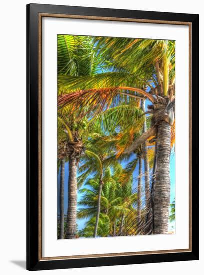 Palms Vertical-Robert Goldwitz-Framed Photographic Print