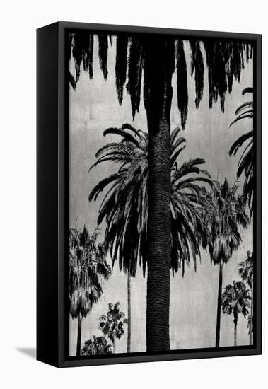 Palms with Silver I-Kate Bennett-Framed Stretched Canvas