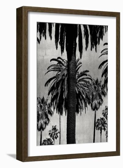 Palms with Silver I-Kate Bennett-Framed Art Print