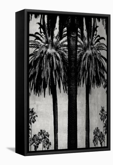 Palms with Silver II-Kate Bennett-Framed Stretched Canvas