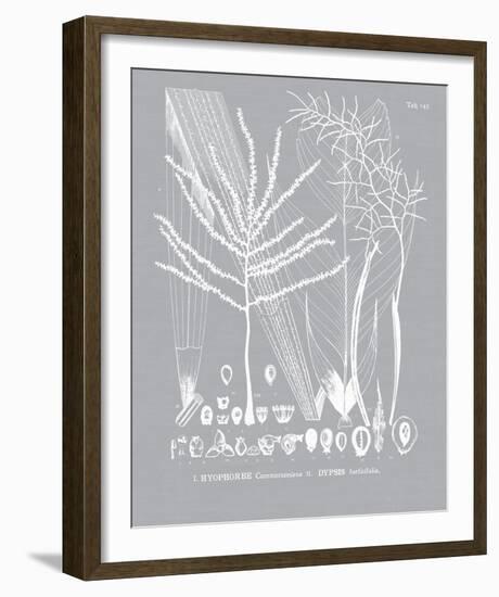 Palmyra II-Maria Mendez-Framed Giclee Print