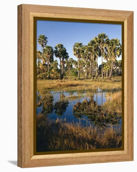 Palmyra Palmen-Thonig-Framed Premier Image Canvas