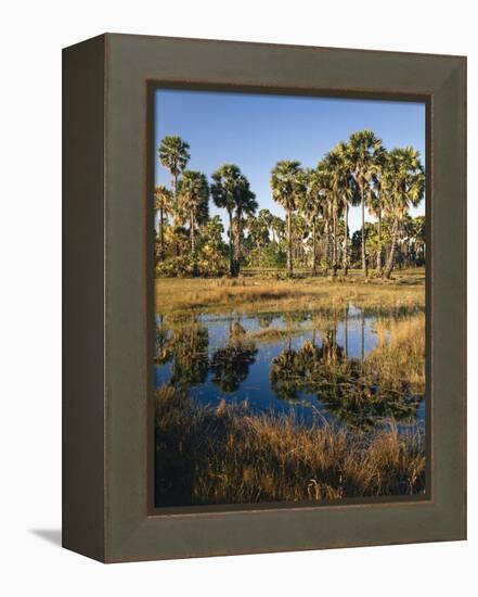 Palmyra Palmen-Thonig-Framed Premier Image Canvas