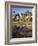 Palmyra Palmen-Thonig-Framed Photographic Print