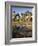 Palmyra Palmen-Thonig-Framed Photographic Print